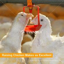 Tianrui Poultry Farm Automatic Chicken Nipple Drinking System